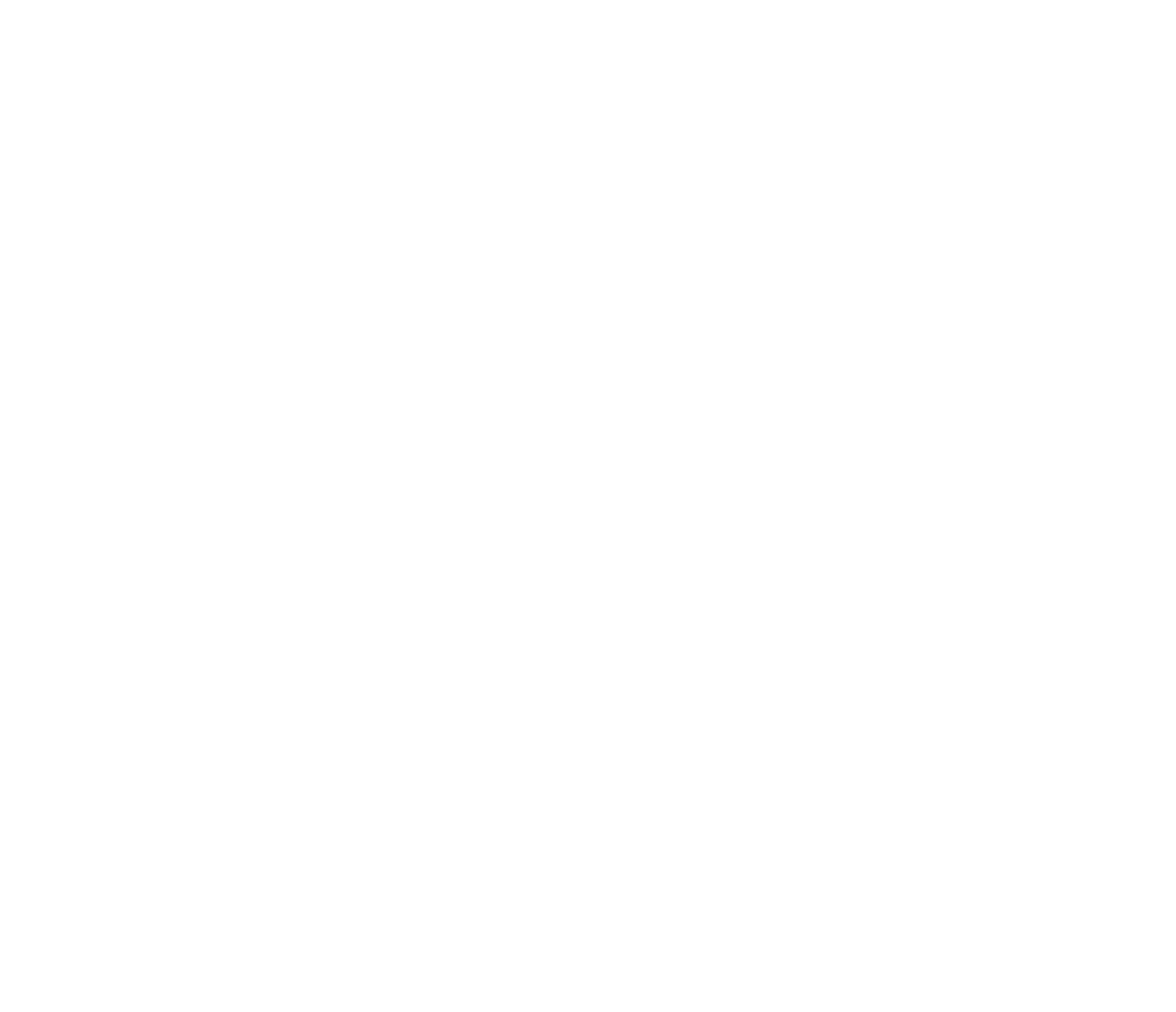 silolona-logo